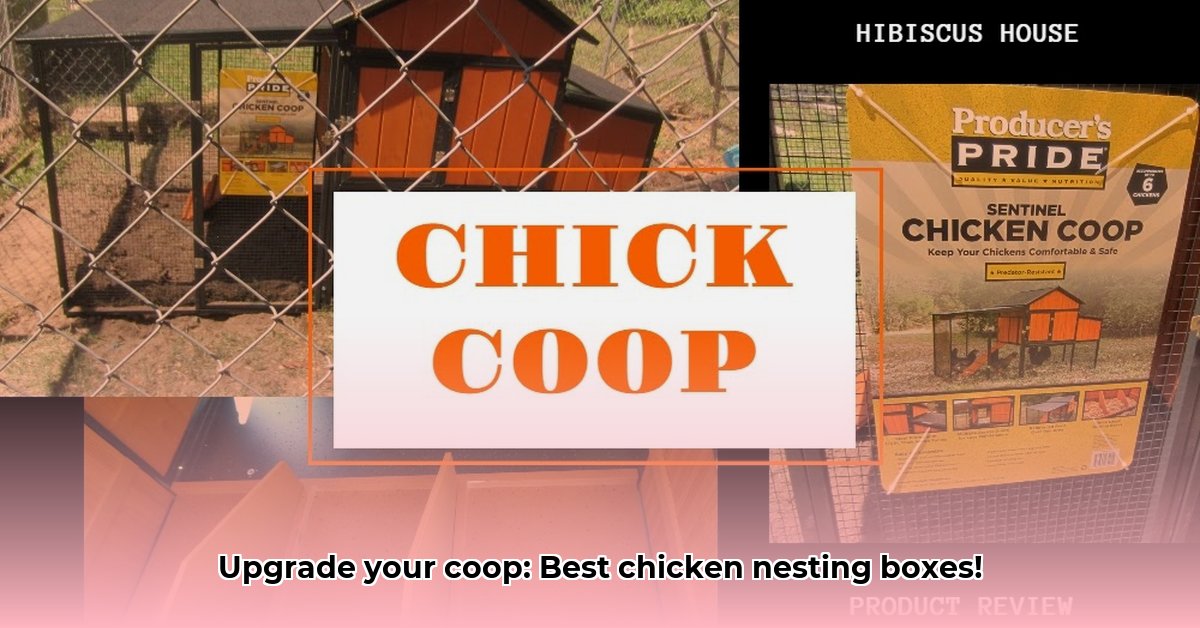 nesting-box-tractor-supply